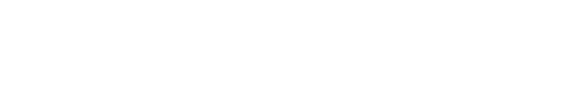 Logo Visdec